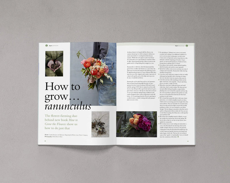 Bloom Magazine: Issue 13