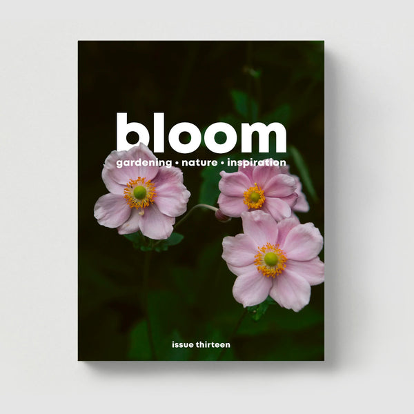 Bloom Magazine: Issue 13