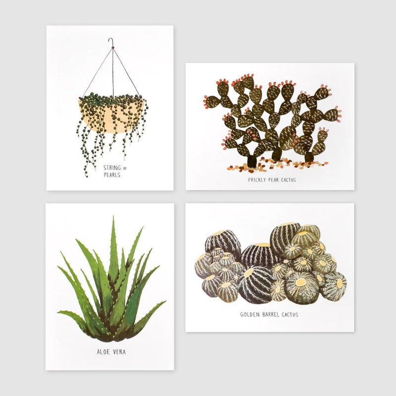 Greetings Cards - Succulents Box Set